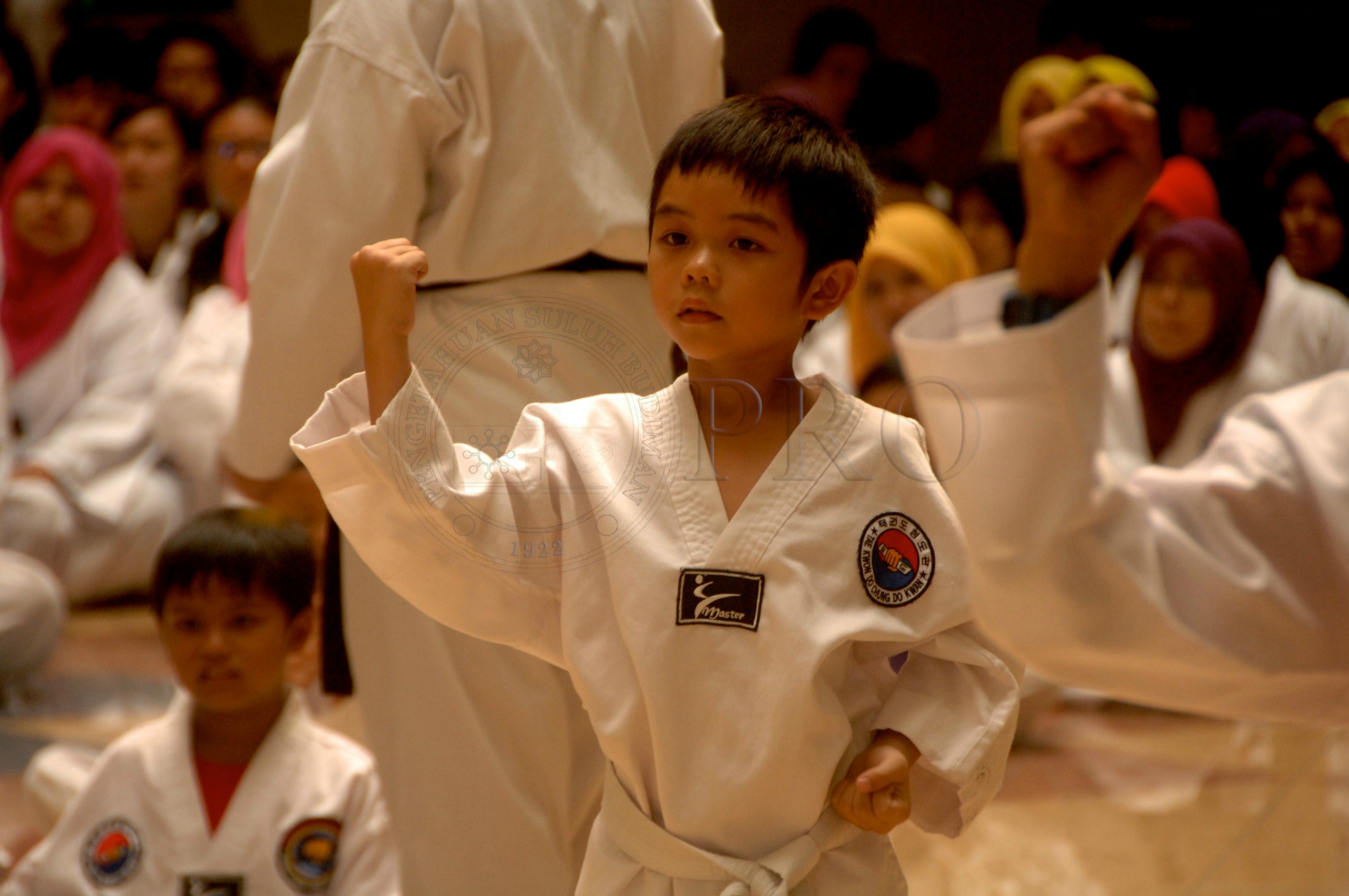 PRO 14 43 KKO IDA 1262